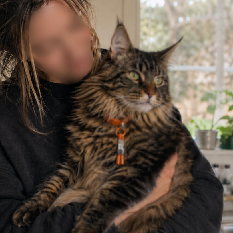 Burnt Orange Calming Pet Tag